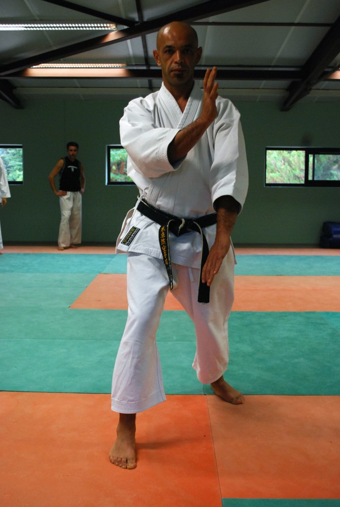 Les défenses (Uke Waza)